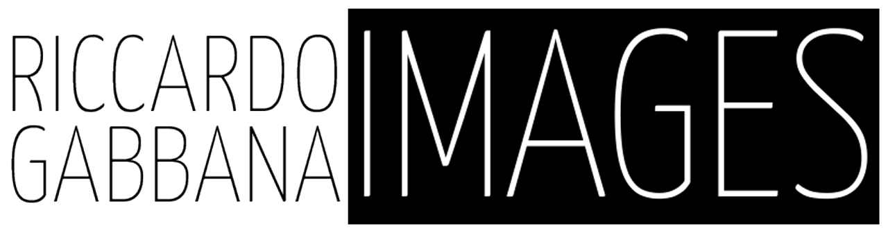 Portfolio Logo